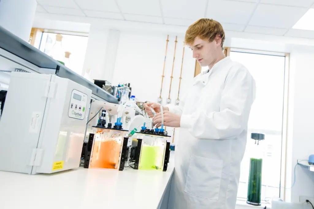 Lab