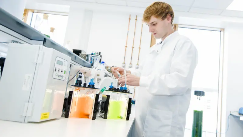 Lab