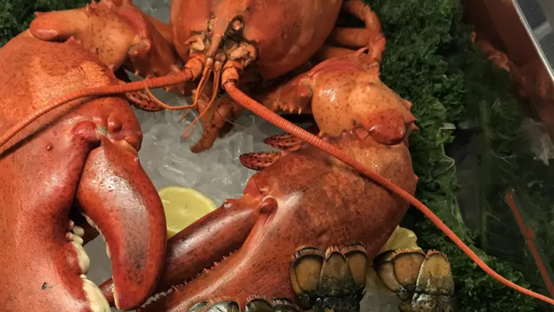 American Lobster