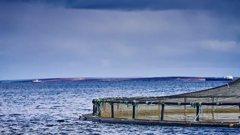 Seawater-Site-1024x683