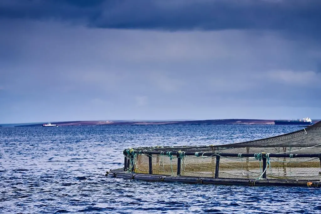 Seawater-Site-1024x683