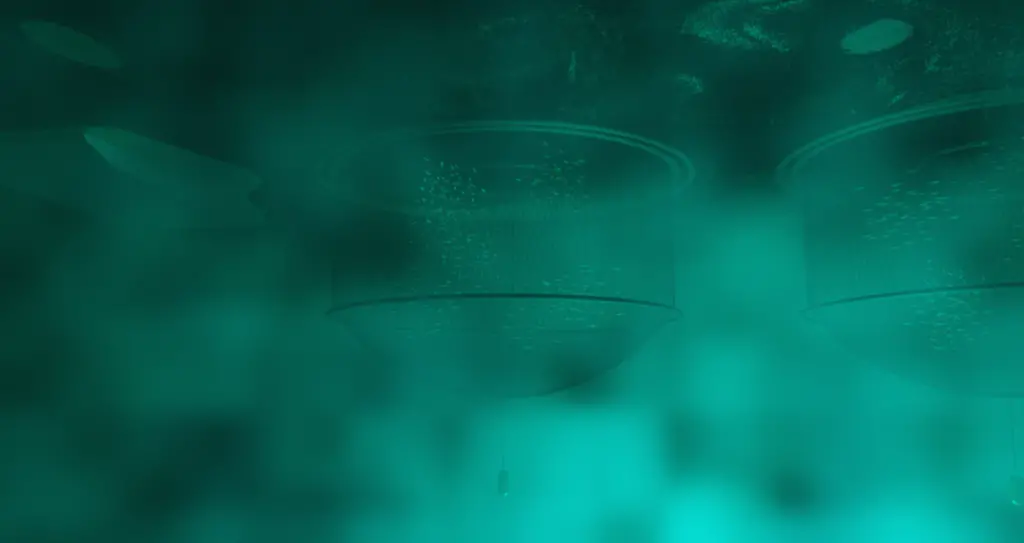 UnderwaterModel