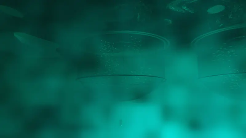 UnderwaterModel