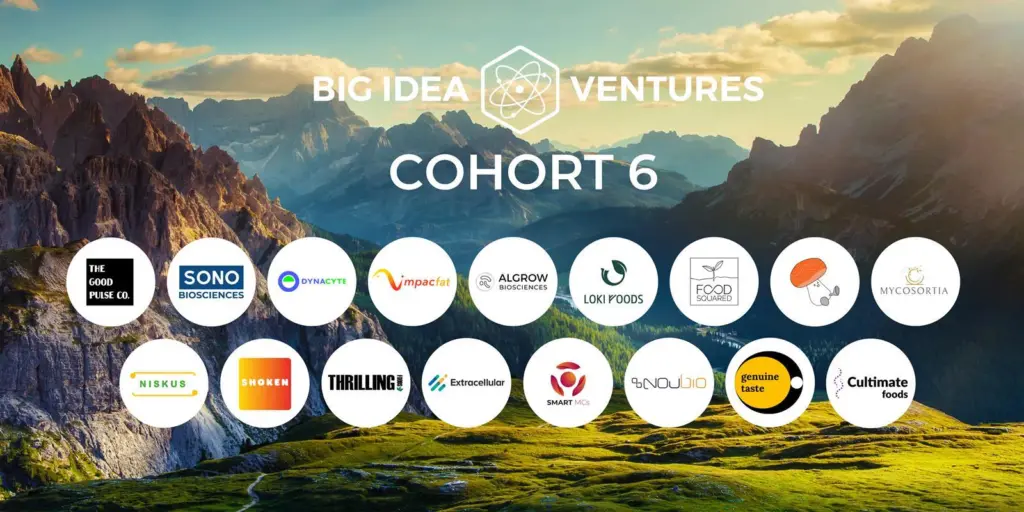 cohort-6