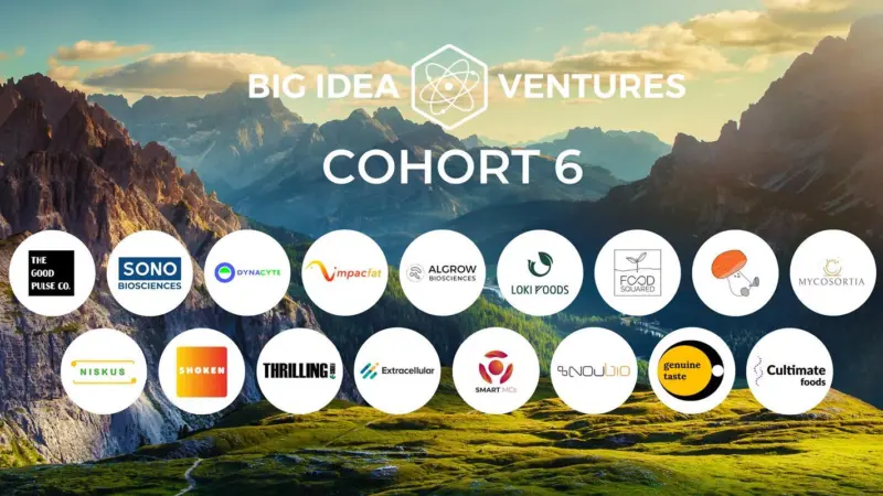 cohort-6