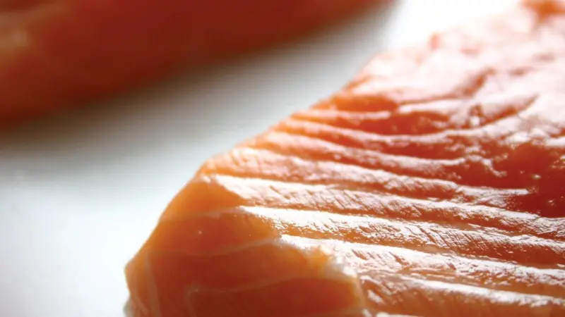 00_264993_Salmon-2