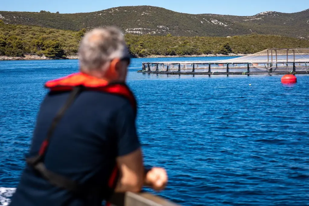 European aquaculture
