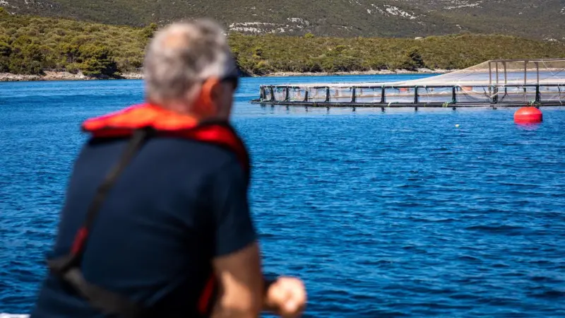 European aquaculture