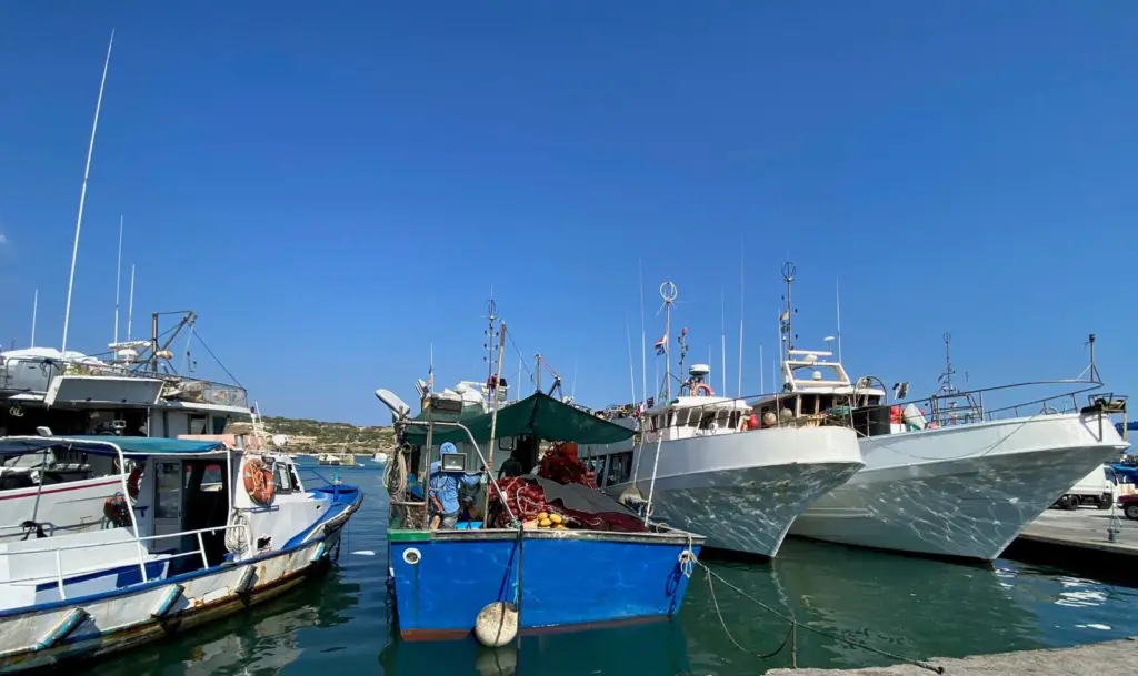 Maltese fishing fleet_Satlink