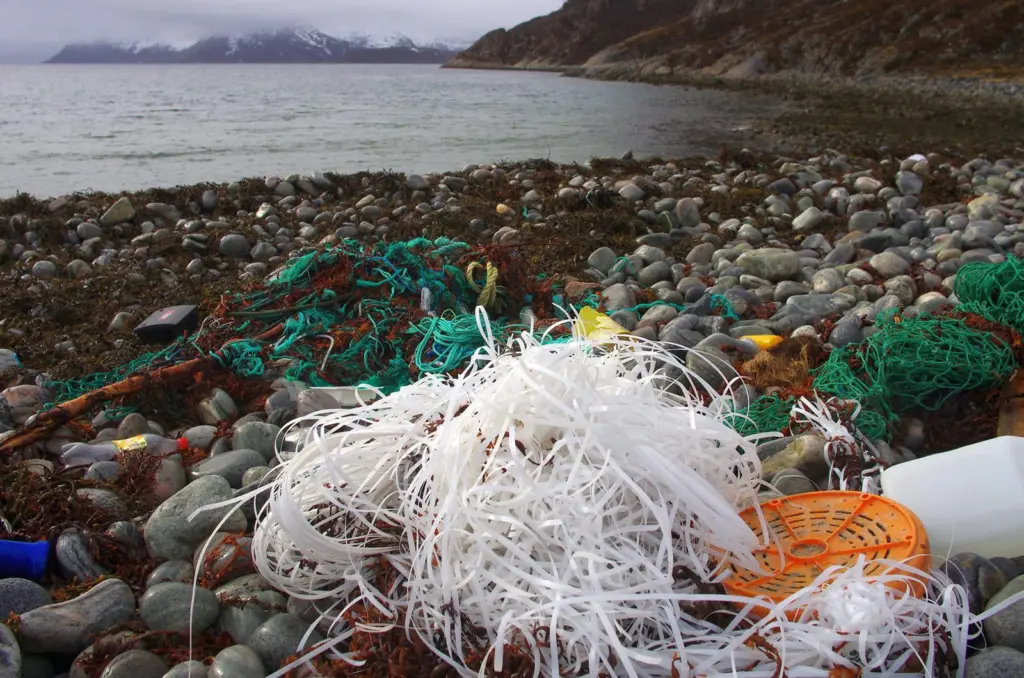 Fishing gear pollution
