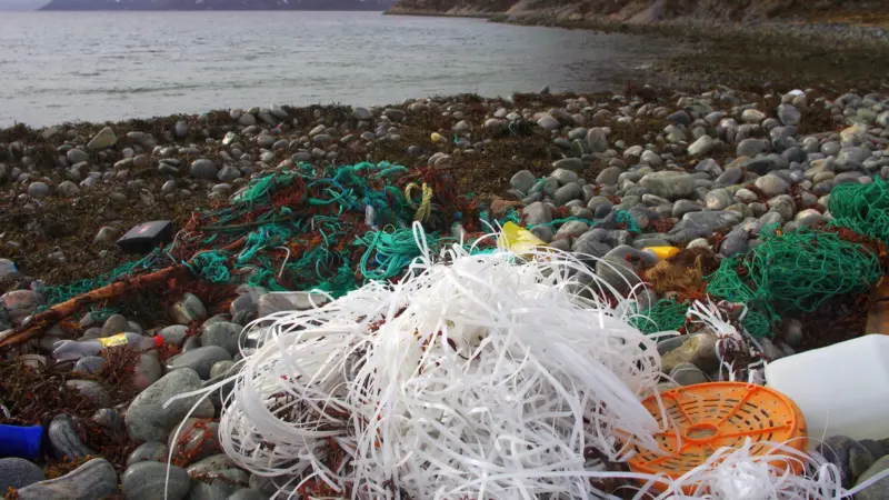 Fishing gear pollution