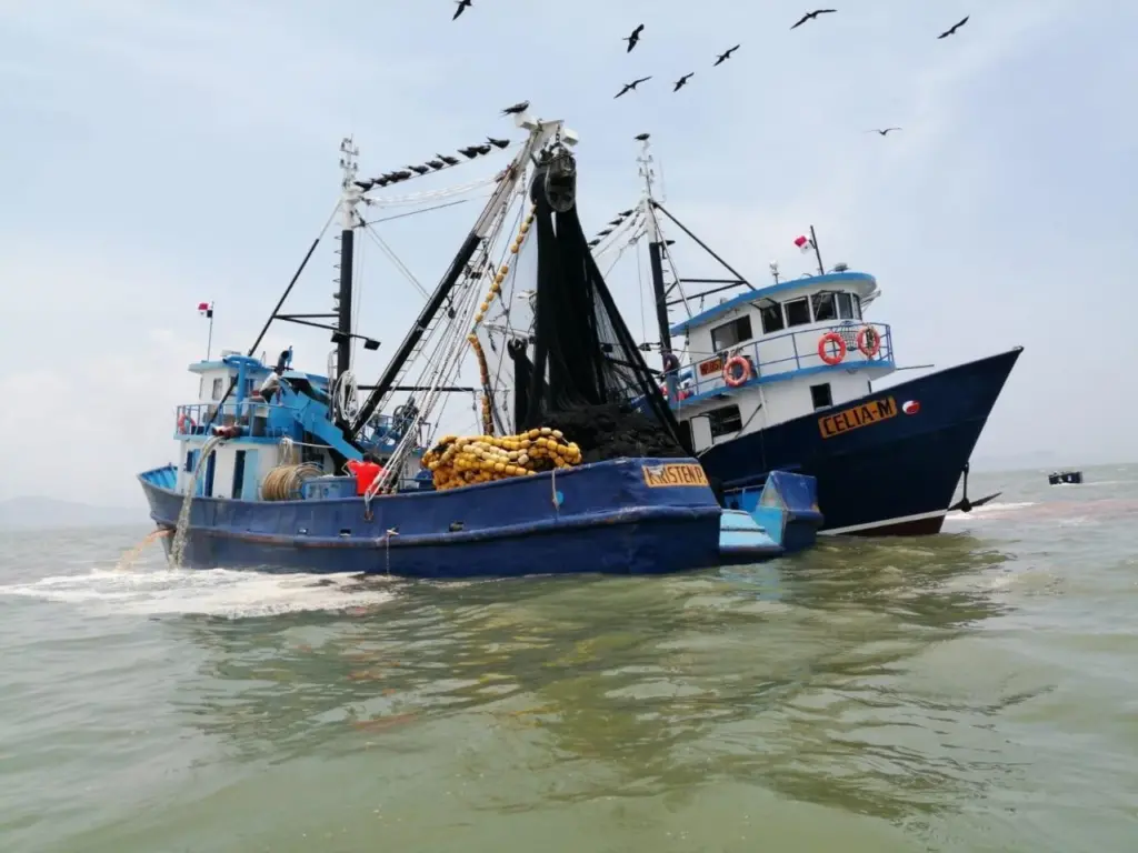 The fishmeal and fish oil production plants at the Panama small pelagics fishery have now been certified by the MarinTrust Improver Programme