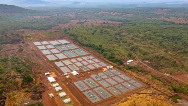 Breeding centre, Tocantins