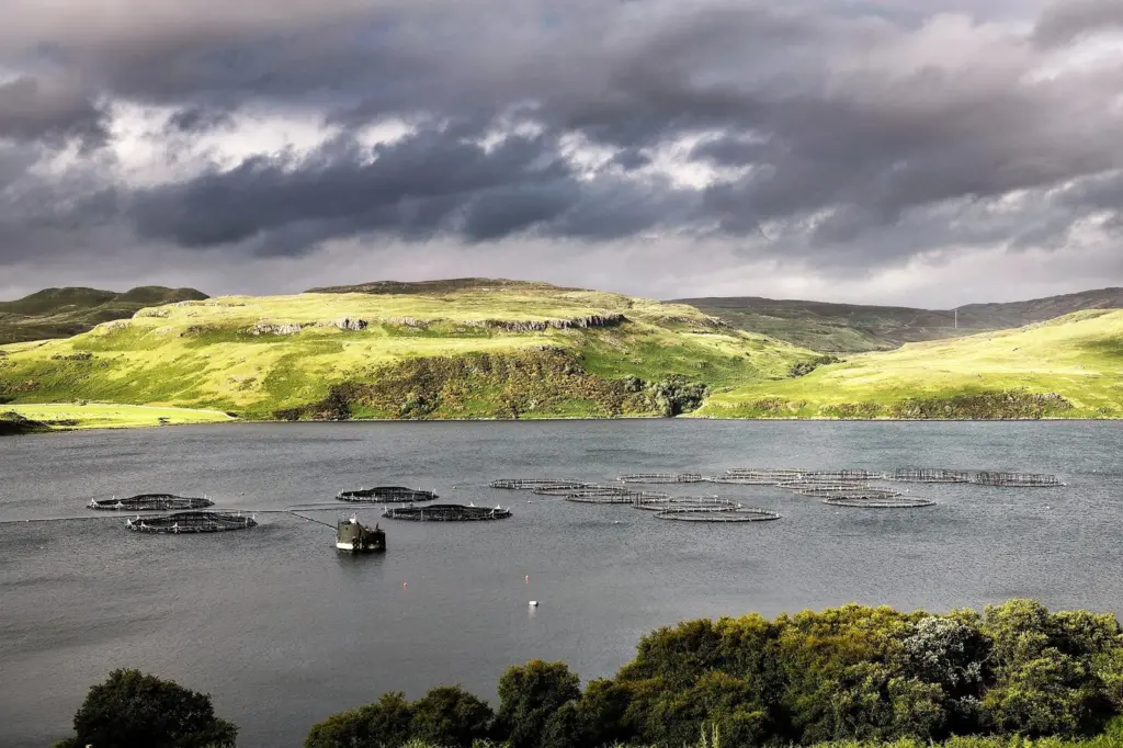 SAIC_Portnalong_fish_farm