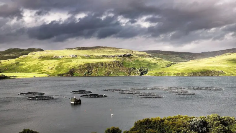 SAIC_Portnalong_fish_farm