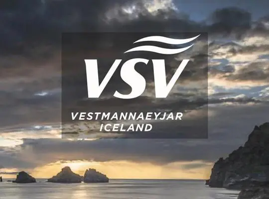 VSV