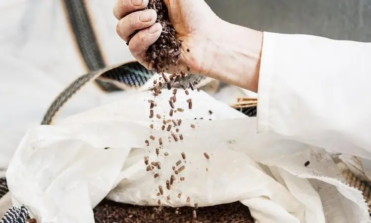 The KSA facility will be Calysseo's second industrial-scale alternative protein plant after China