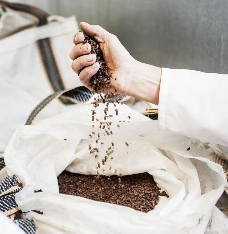 The KSA facility will be Calysseo's second industrial-scale alternative protein plant after China