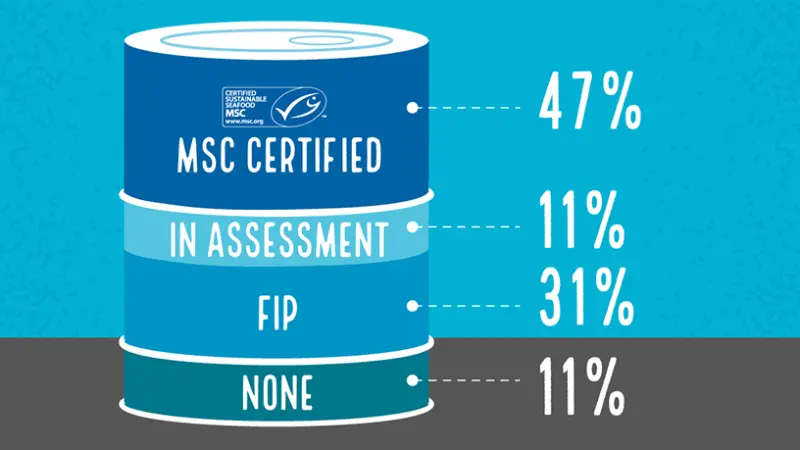 Tuna-Percentage-MSC-certified-in-assessement-and-in-FIPS