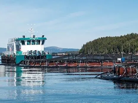 Cooke Aquaculture
