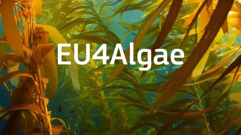 eu4algae_image1