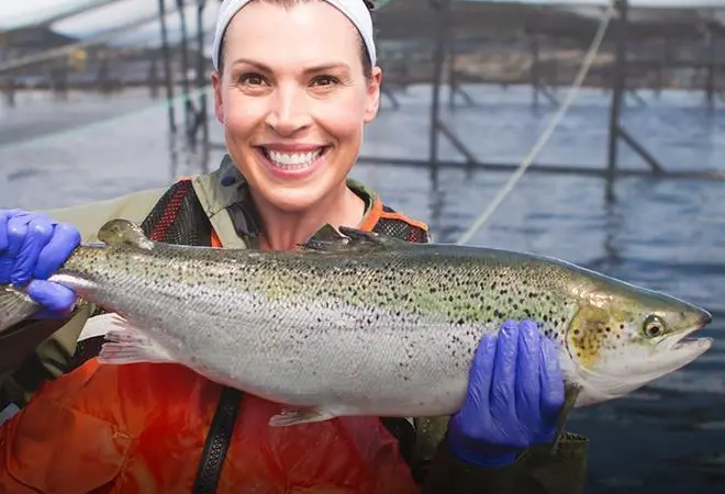 Cooke Aquaculture