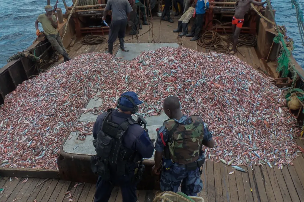 Oceana is calling on all maritime industry companies conducting business with fishing vessels to adopt due diligence measures