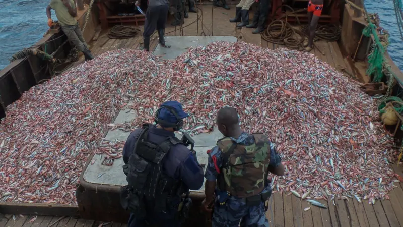 Oceana is calling on all maritime industry companies conducting business with fishing vessels to adopt due diligence measures