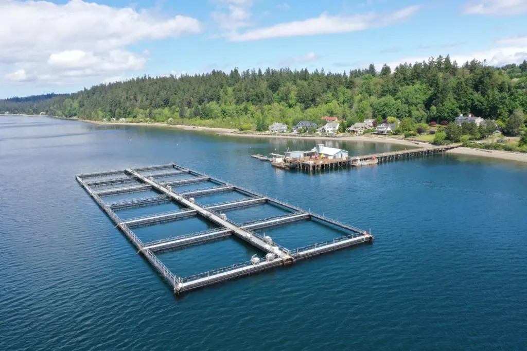 Washington net pen aquaculture
