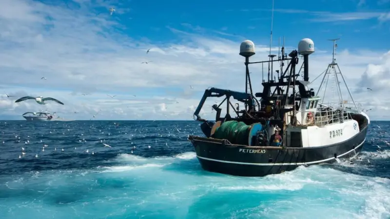 UK fishing