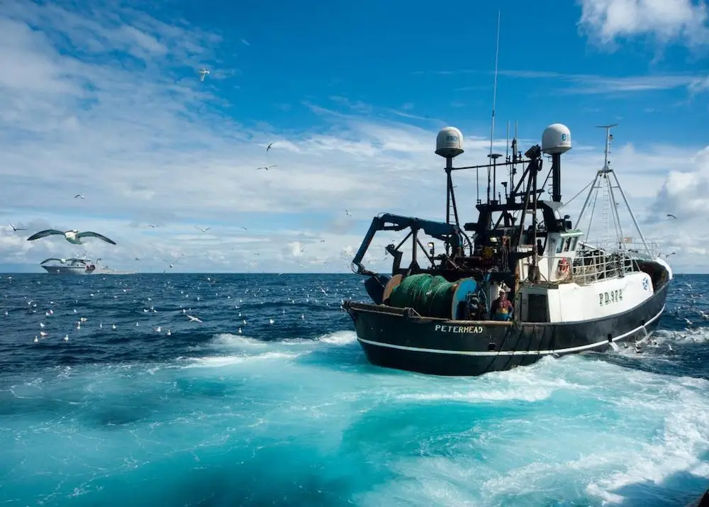 UK fishing