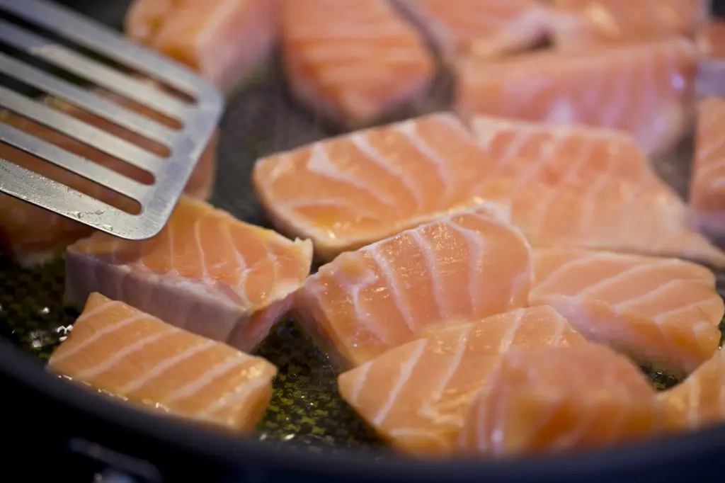 Scottish salmon