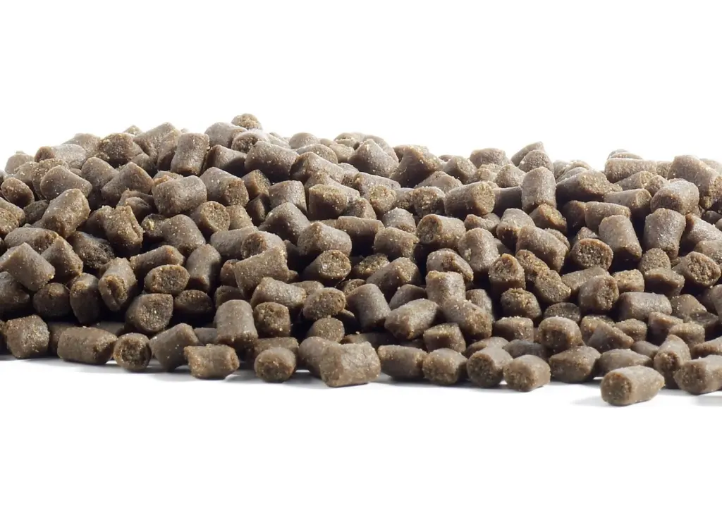 Fish feed