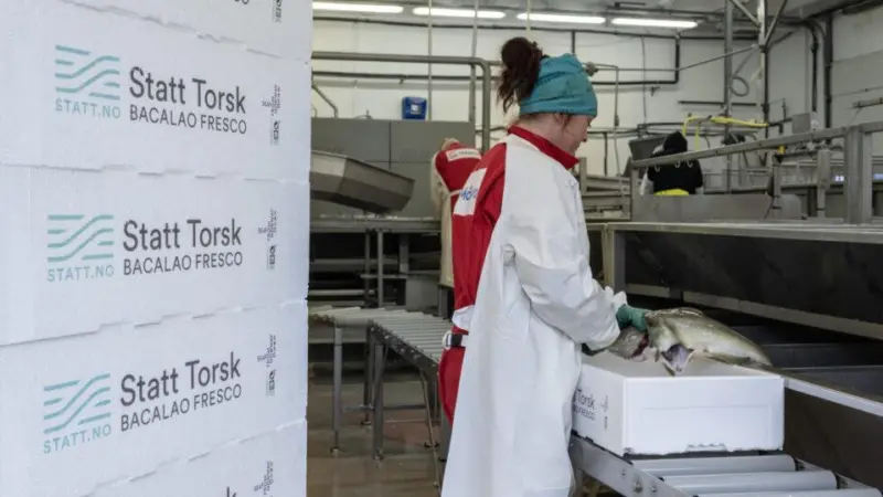 Statt Torsk