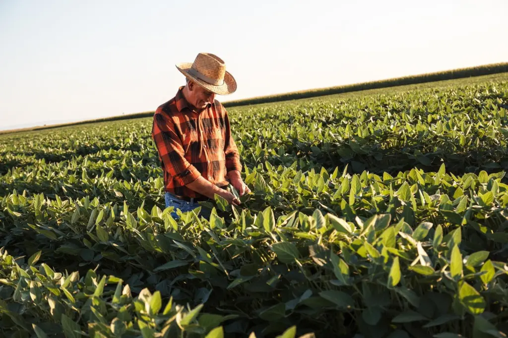 Soy Farmer