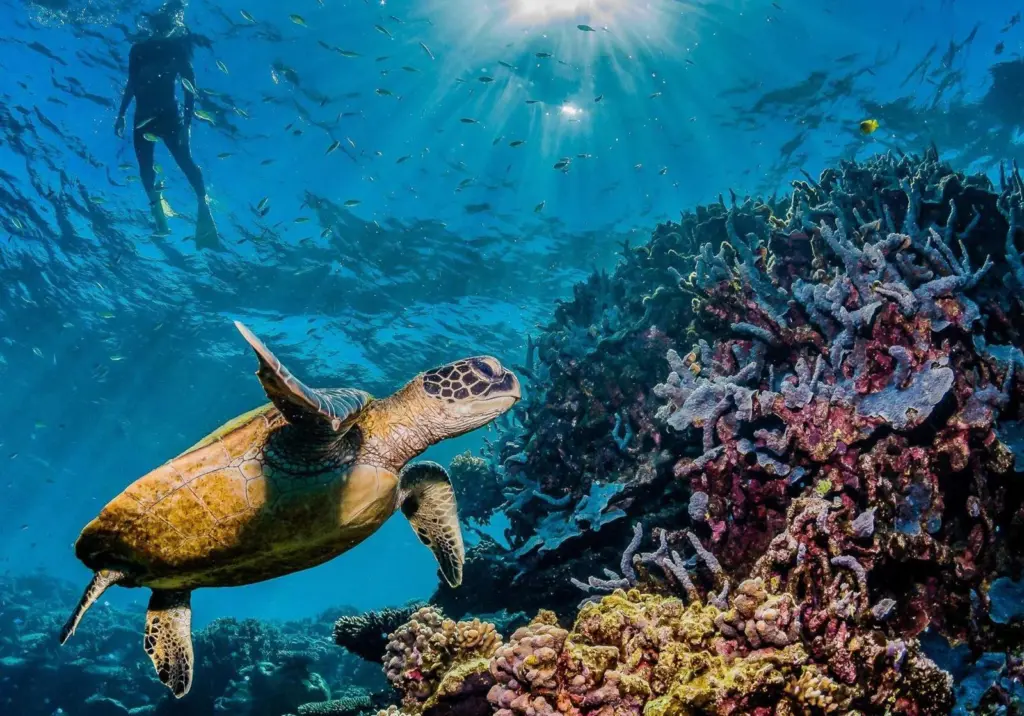 Biodiversity