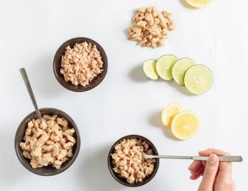 Vegan tuna
