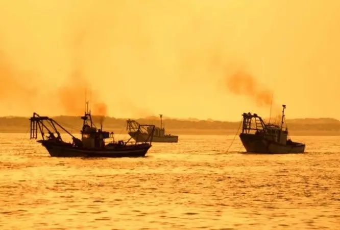 Oceana EU Decarbonise Report