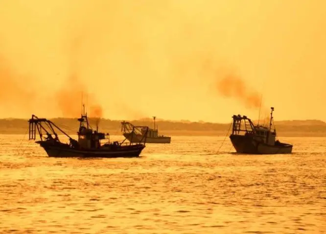 Oceana EU Decarbonise Report
