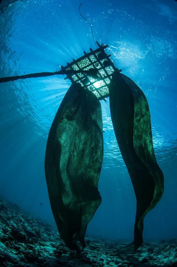 Drifting fish aggregating devices