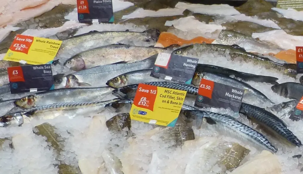 Tesco fish counter