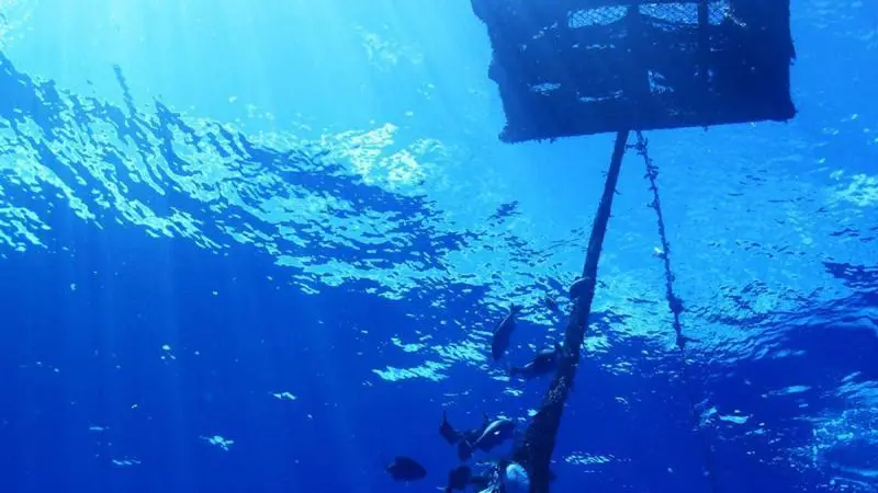 Drifting FAD