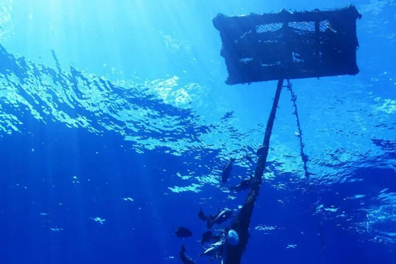 Drifting FAD