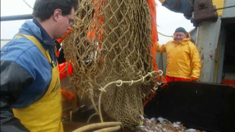 EU fisheries