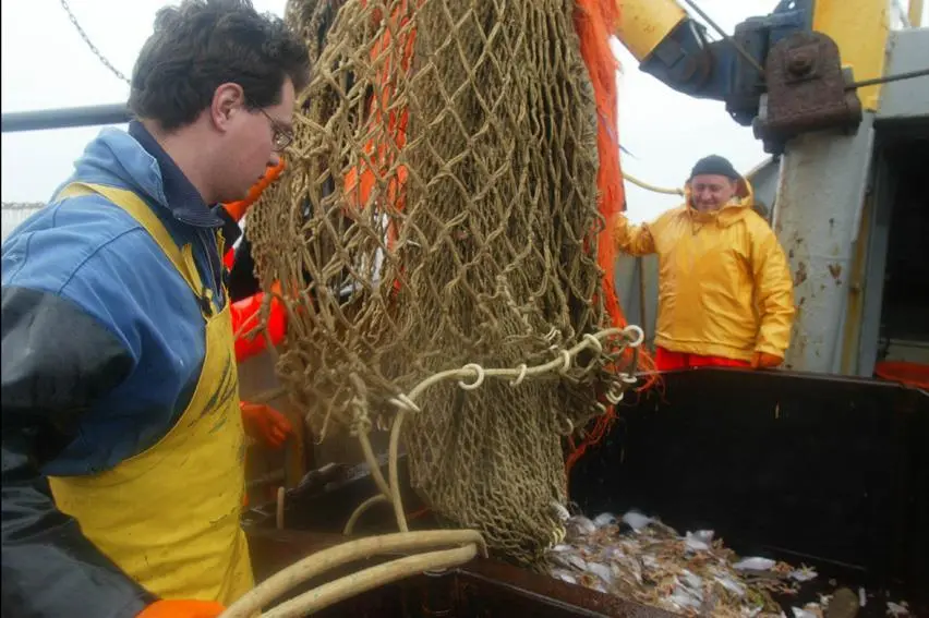 EU fisheries