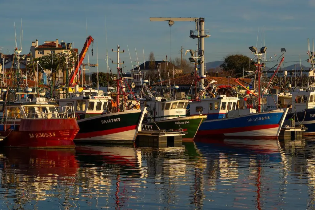 Small scale fishing fleet, France