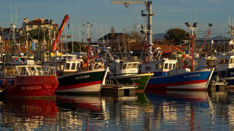 Small scale fishing fleet, France