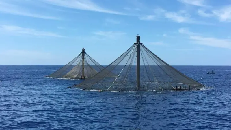 Innovasea SeaStation