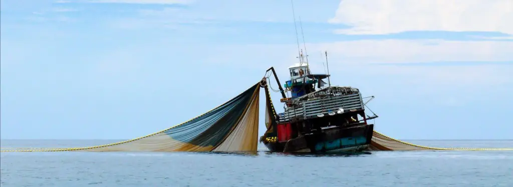 Bottom trawler