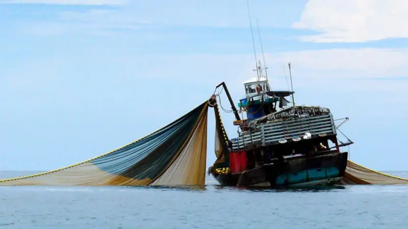 Bottom trawler